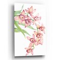 thumbnail image 1 of Epic Art 'Exotic Flowers III' by Tim O'Toole, Acrylic Glass Wall Art, 12"x16", 1 of 2