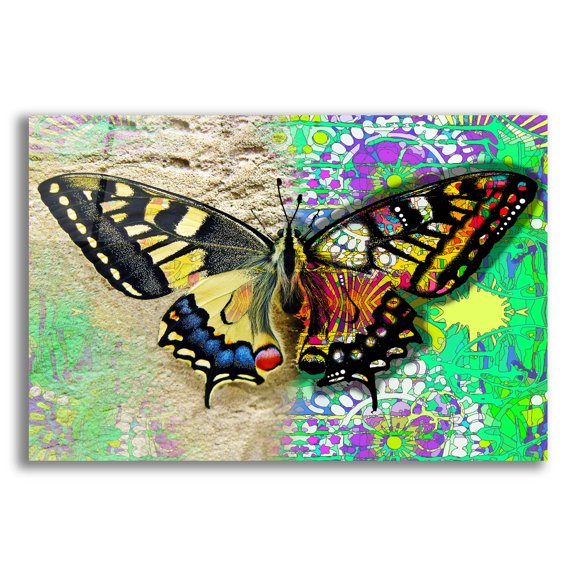 Epic Art 'Exposed Butterfly' by Dean Russo Studios, Acrylic Glass Wall Art, 16"x12"