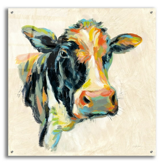 Epic Art 'Expressionistic Cow I' by Silvia Vassileva, Acrylic Glass Wall Art, 36"x36"