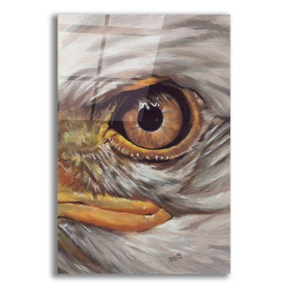 Epic Art 'Eye-Catching Bald Eagle' by Barbara Keith, Acrylic Glass Wall Art, 16"x24"