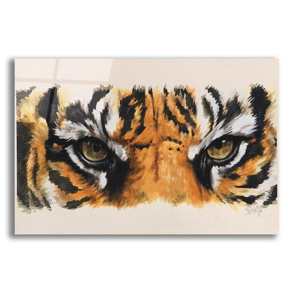 Epic Art 'Eye-Catching Tiger' by Barbara Keith, Acrylic Glass Wall Art, 16"x12"