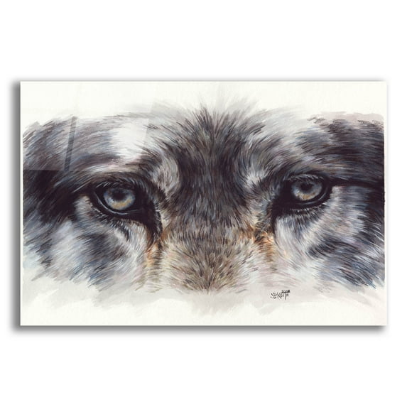 Epic Art 'Eye-Catching Wolf' by Barbara Keith, Acrylic Glass Wall Art, 24"x16"