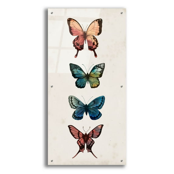 Epic Art 'Fairy Study I' by Grace Popp, Acrylic Glass Wall Art, 24"x48"