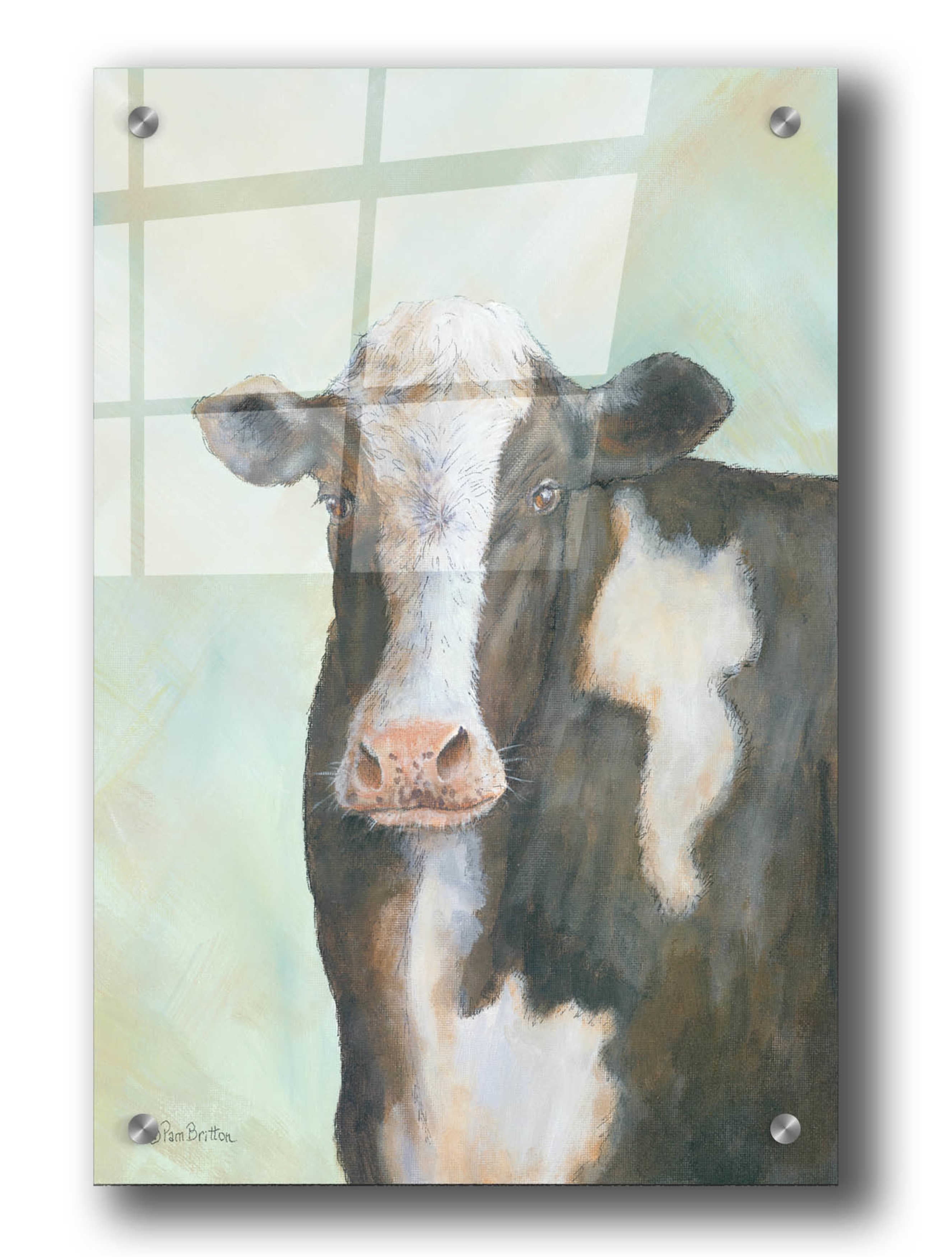 Farm Cow Acrylic Wall Art in Brown and White, 36" x 24"