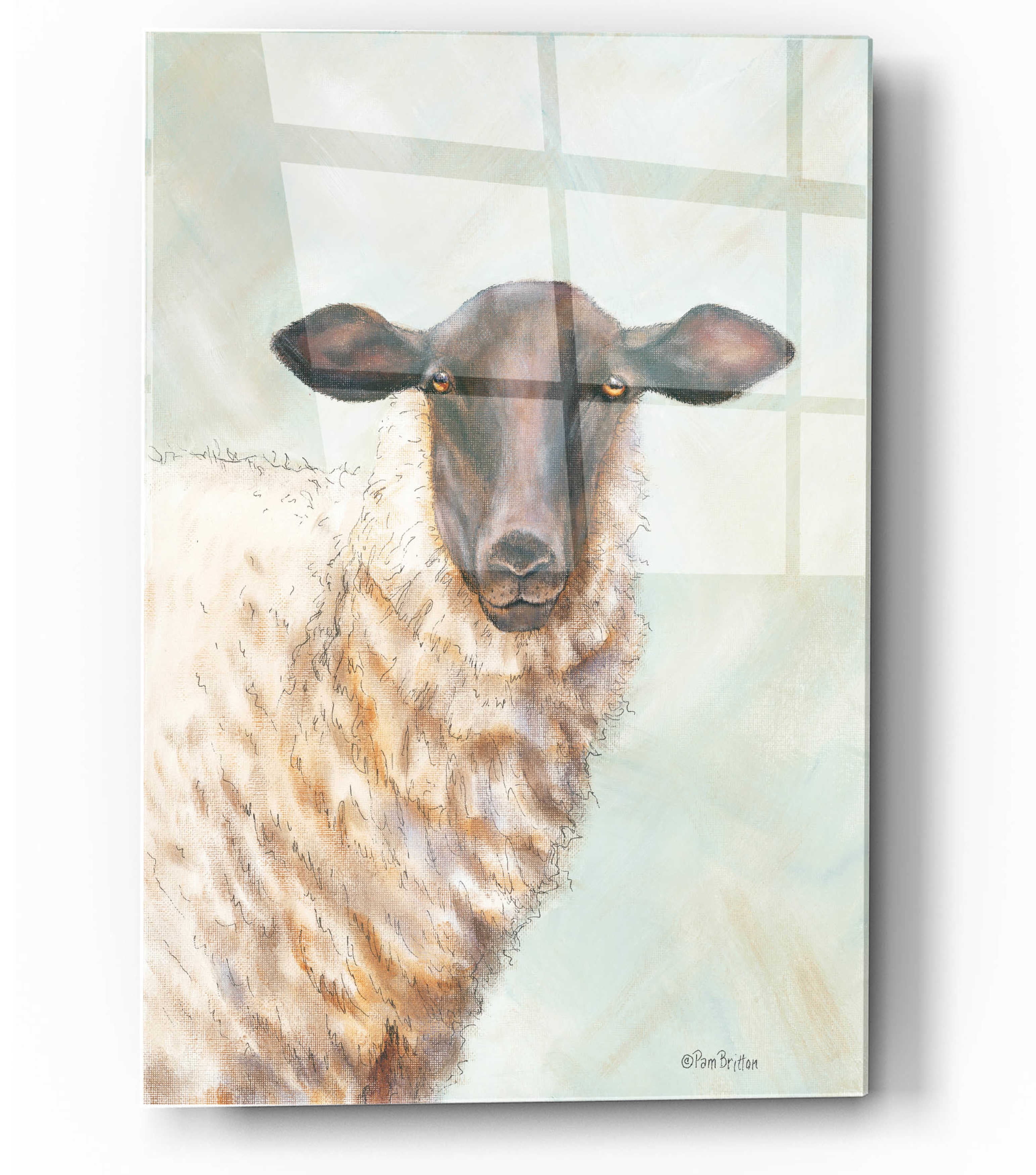 Pam Britton Farm Sheep Acrylic Wall Art, 12" x 16"