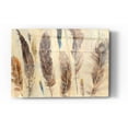 thumbnail image 1 of Epic Art 'Feather Study' by Albena Hristova, Acrylic Glass Wall Art, 24"x36", 1 of 3