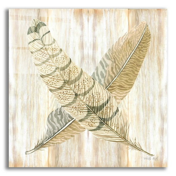 Epic Art 'Feathers Crossed I' by Cindy Jacobs, Acrylic Glass Wall Art, 12"x12"