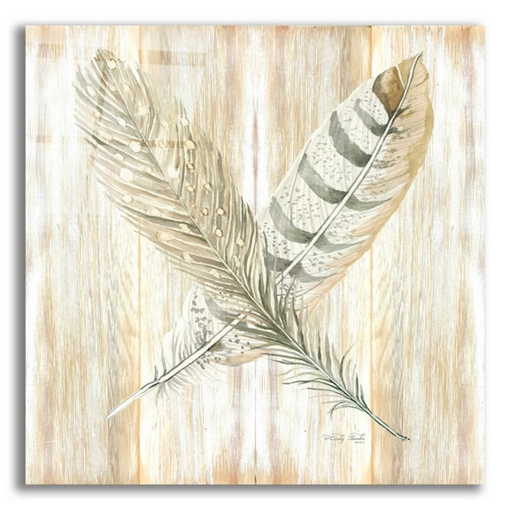 Epic Art 'Feathers Crossed II' by Cindy Jacobs, Acrylic Glass Wall Art, 12"x12"