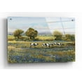 thumbnail image 1 of Epic Art 'Field of Cattle I' by Tim O'Toole, Acrylic Glass Wall Art, 36"x24", 1 of 5