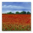 thumbnail image 1 of Epic Art 'Field of Poppies II' by Tim O'Toole, Acrylic Glass Wall Art, 36"x36", 1 of 6