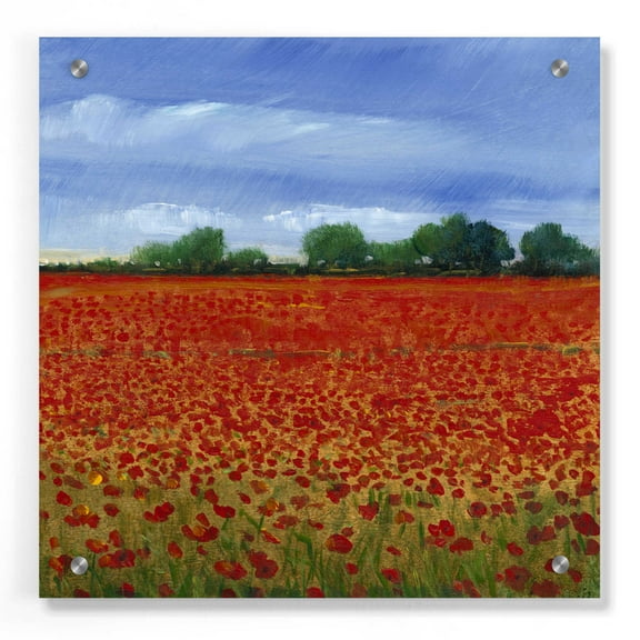 Epic Art 'Field of Poppies II' by Tim O'Toole, Acrylic Glass Wall Art, 36"x36"