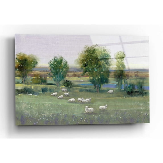 Epic Art 'Field of Sheep I' by Tim O'Toole, Acrylic Glass Wall Art, 24"x16"