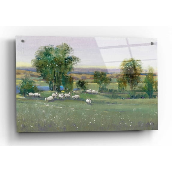 Epic Art 'Field of Sheep II' by Tim O'Toole, Acrylic Glass Wall Art, 36"x24"