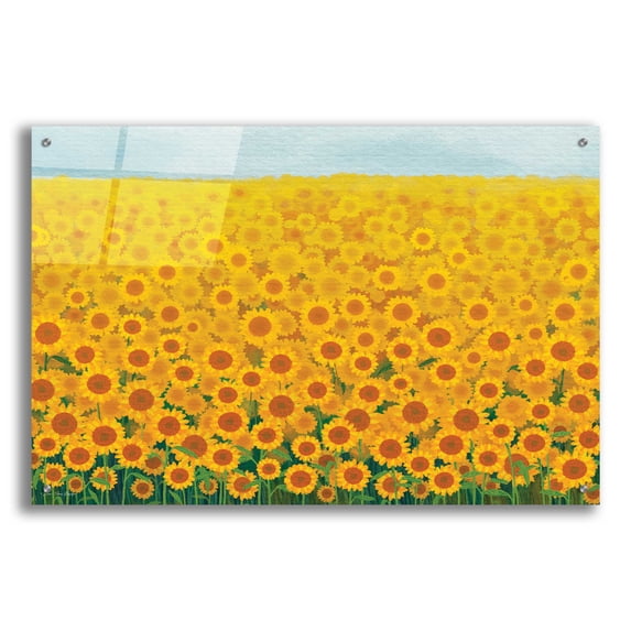 Epic Art 'Field of Sunflowers' by Seven Trees Design, Acrylic Glass Wall Art, 36"x24"
