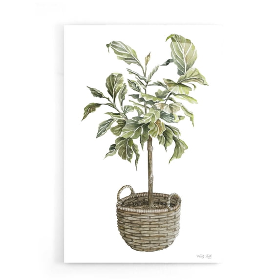 Epic Art 'Fig Tree I' by Cindy Jacobs, Acrylic Glass Wall Art, 16"x24"