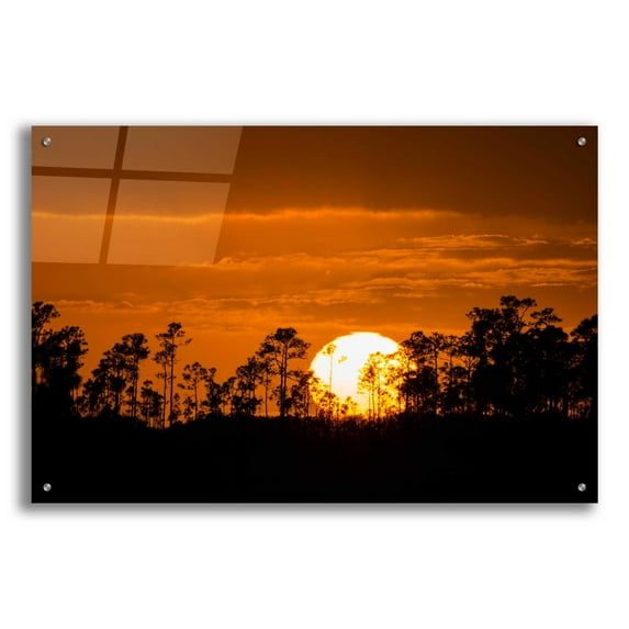Epic Art 'Fire in the Sky' by Edin Chavez, Acrylic Glass Wall Art, 36"x24"