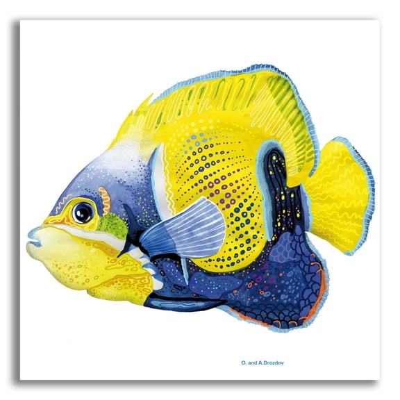 Epic Art 'Fish 3 Blue Yellow' by Olga and Alexey Drozdov, Acrylic Glass Wall Art, 12"x12"