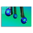 thumbnail image 1 of Epic Art 'Fish In A Drop 1' by Gordon Semmens Acrylic Glass Wall Art, 24" x 16", 1 of 8