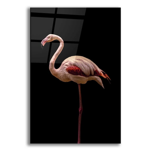 Epic Art 'Flamingo' by Incado, Acrylic Glass Wall Art, 12"x16"