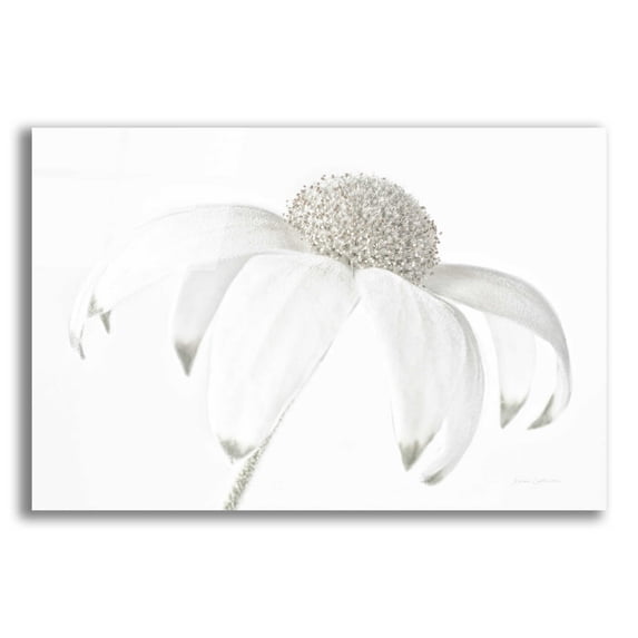 Epic Art 'Flannel Flower Neutral' by Elise Catterall, Acrylic Glass Wall Art, 16"x12"