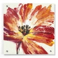 thumbnail image 1 of Epic Art 'Fleur Rouge I' by Tim O'Toole, Acrylic Glass Wall Art, 36"x36", 1 of 6