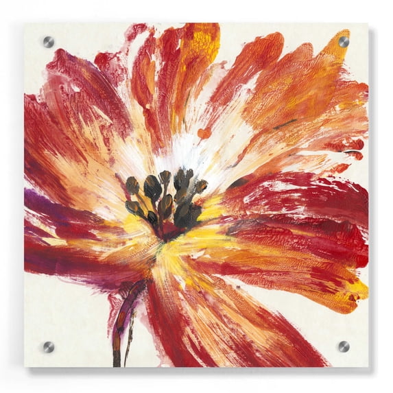 Epic Art 'Fleur Rouge I' by Tim O'Toole, Acrylic Glass Wall Art, 36"x36"
