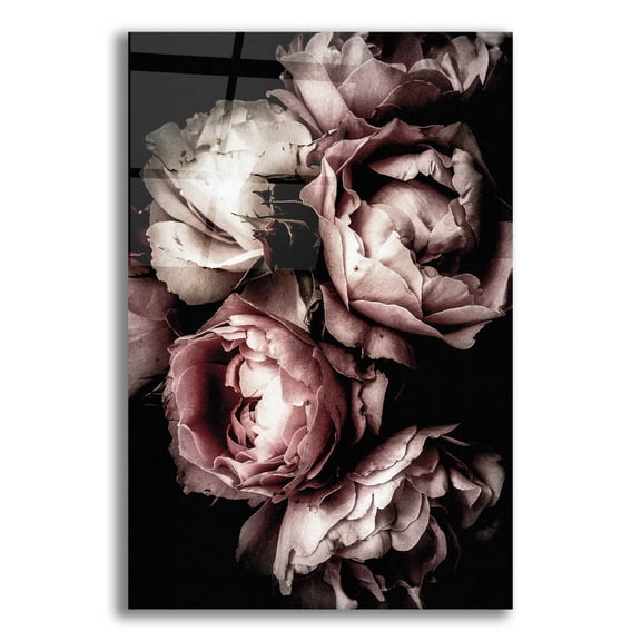 Epic Art 'Floral 30' by Incado, Acrylic Glass Wall Art, 12"x16"
