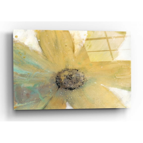 Epic Art 'Floral Spirit II' by Tim O'Toole, Acrylic Glass Wall Art, 16"x12"