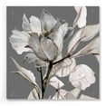 thumbnail image 1 of Epic Art 'Floral in Gray 2' by Stellar Design Studio, Acrylic Glass Wall Art, 24"x24", 1 of 5