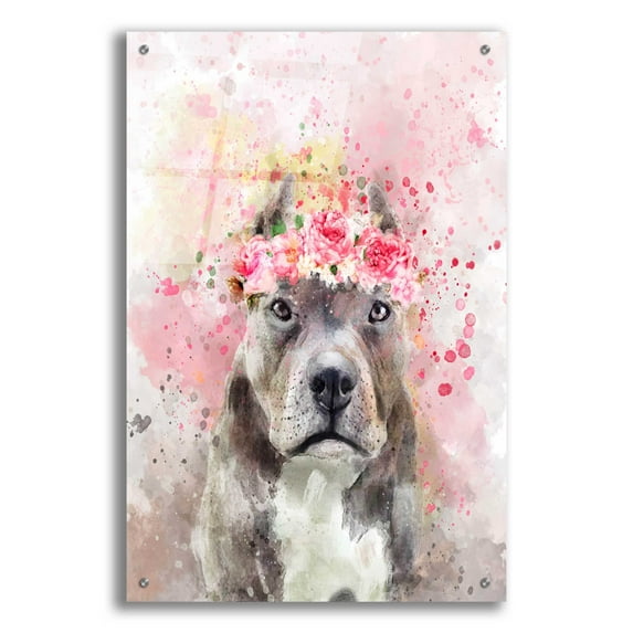 Epic Art 'Flower Crown Pit Bull' by Furbaby Affiliates, Acrylic Glass Wall Art, 24"x36"