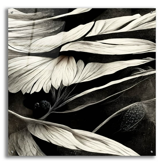 Epic Art 'Flowers Black White 12' by Ray Heere, Acrylic Glass Wall Art, 36"x36"