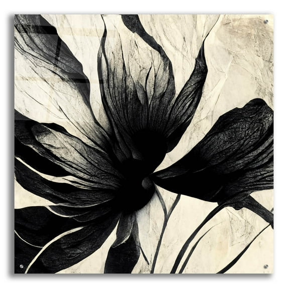 Epic Art 'Flowers Black White 16' by Ray Heere, Acrylic Glass Wall Art, 36"x36"