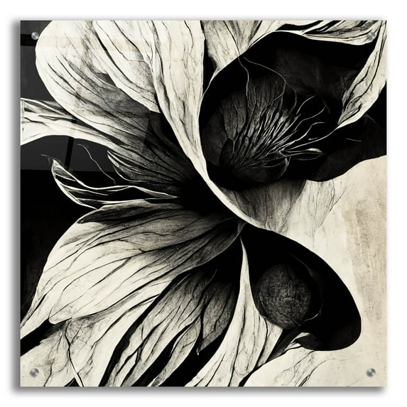 Epic Art 'Flowers Black White 20' by Ray Heere, Acrylic Glass Wall Art, 24"x24"