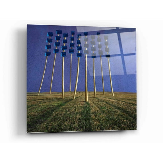 Epic Art 'Flowers' by Dariusz Klimczak, Acrylic Glass Wall Art, 12"x12"