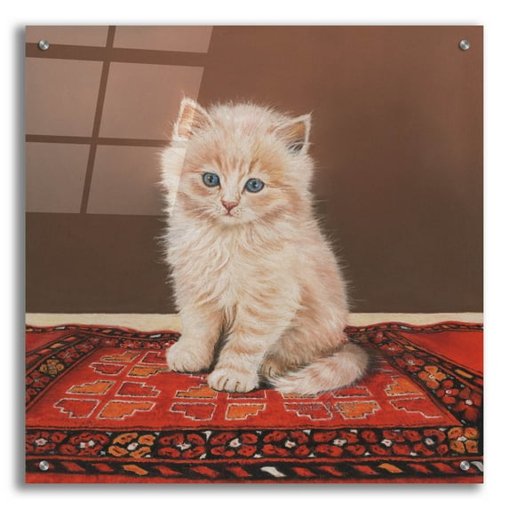 Epic Art 'Fluffy' by Janet Pidoux, Acrylic Glass Wall Art, 24"x24"