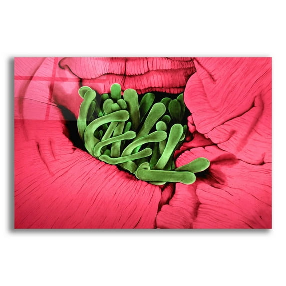 Epic Art 'Folds' by Rita Shimelfarb, Acrylic Glass Wall Art, 24"x16"