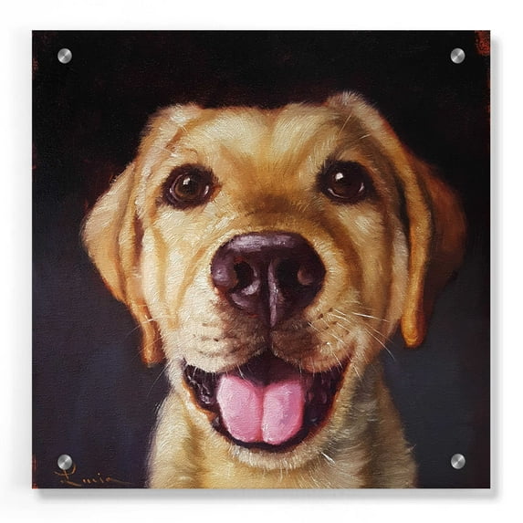 Epic Art 'Follow Your Nose 13' by Lucia Heffernan, Acrylic Glass Wall Art, 36"x36"