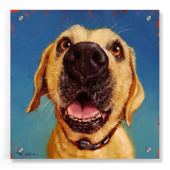 Epic Art 'Follow Your Nose 2' by Lucia Heffernan, Acrylic Glass Wall Art, 36"x36"