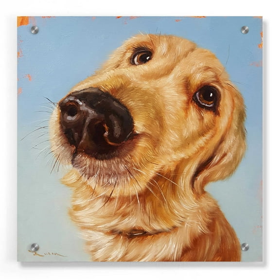 Epic Art 'Follow Your Nose 4' by Lucia Heffernan, Acrylic Glass Wall Art, 36"x36"