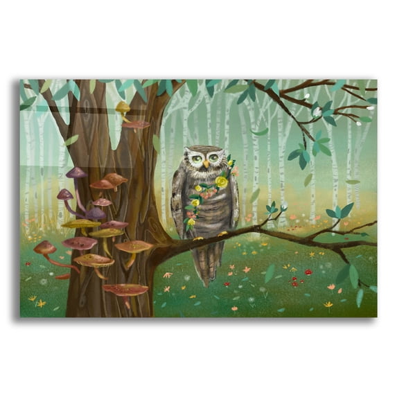Epic Art 'Forest Animals Owl' by Christine Rotolo, Acrylic Glass Wall Art, 16"x12"