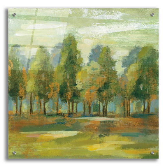 Epic Art 'Forest I' by Silvia Vassileva, Acrylic Glass Wall Art, 24"x24"