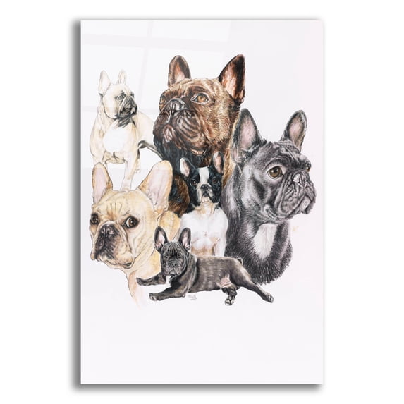 Epic Art 'French Bulldog 2' by Barbara Keith, Acrylic Glass Wall Art, 16"x24"