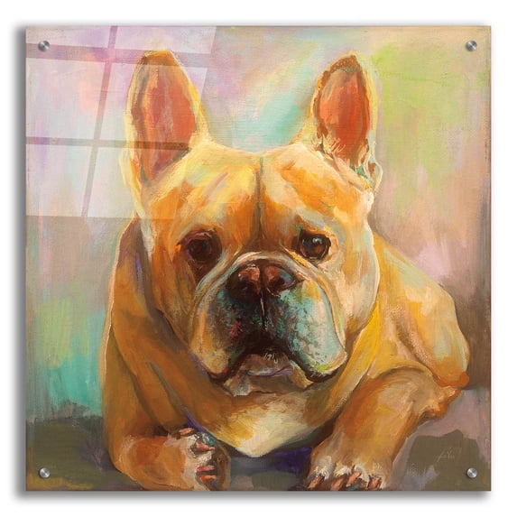 Epic Art 'Frenchie' by Jeanette Vertentes, Acrylic Glass Wall Art, 24"x24"