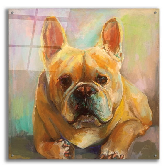 Epic Art 'Frenchie' by Jeanette Vertentes, Acrylic Glass Wall Art, 36"x36"