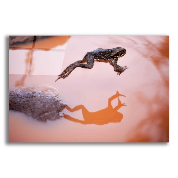 Epic Art 'Frog Jump 3' by Thomas Haney, Acrylic Glass Wall Art, 24"x16"