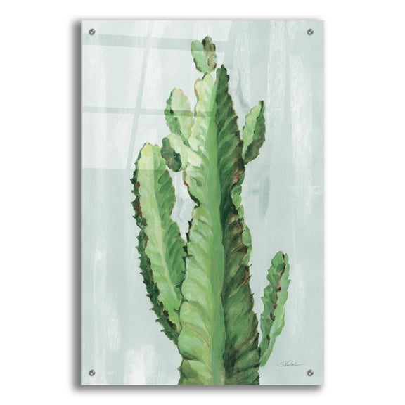 Epic Art 'Front Yard Cactus II Slate' by Silvia Vassileva, Acrylic Glass Wall Art, 24"x36"