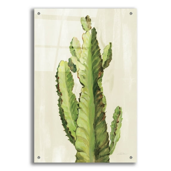Epic Art 'Front Yard Cactus II' by Silvia Vassileva, Acrylic Glass Wall Art, 24"x36"