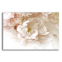 Epic Art ' Froth' by Judy Stalus, Acrylic Glass Wall Art, 24"x16"