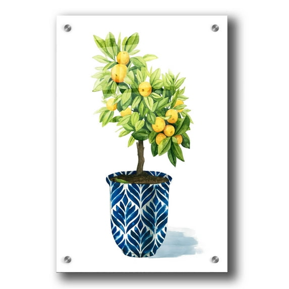 Epic Art 'Fruit Tree I' by Grace Popp, Acrylic Glass Wall Art, 24"x36"