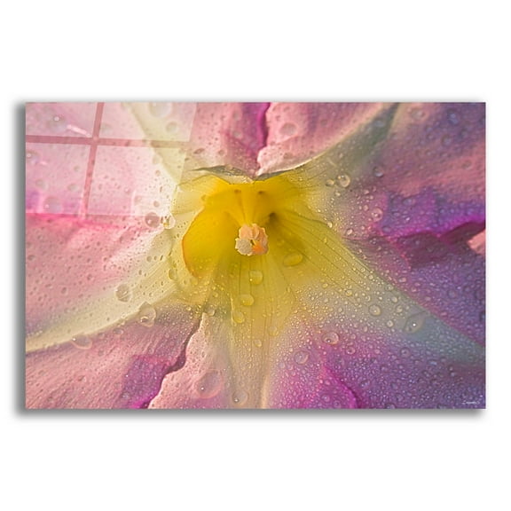 Epic Art 'Morning Mist' by Gordon Semmens, Acrylic Glass Wall Art, 24"x16"